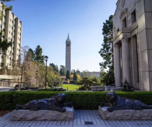 calberkeley